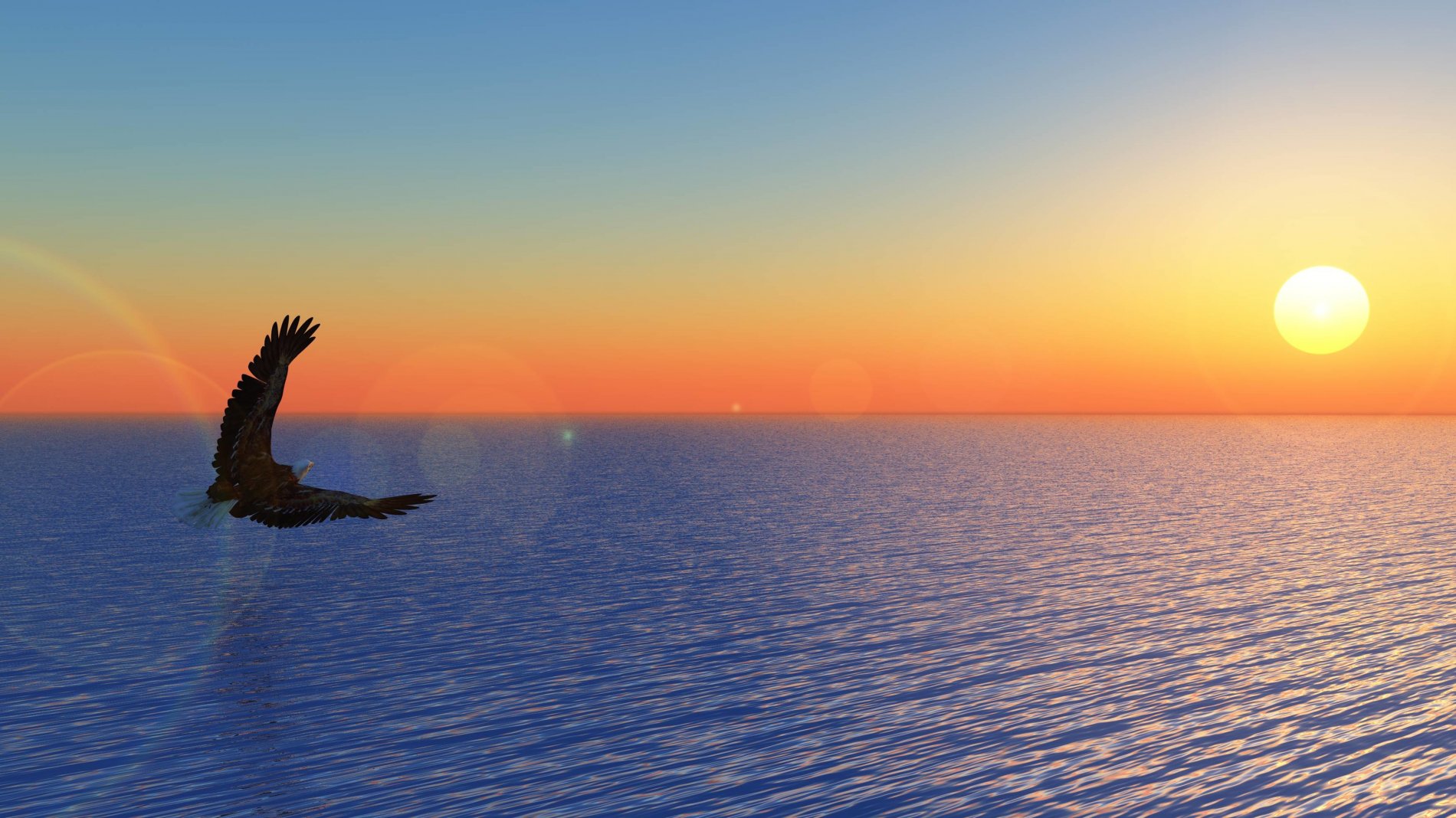 header-image